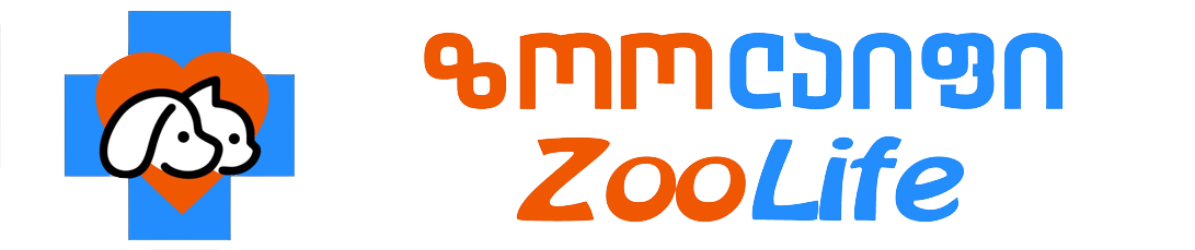 ZooLife | ზოოლაიფი